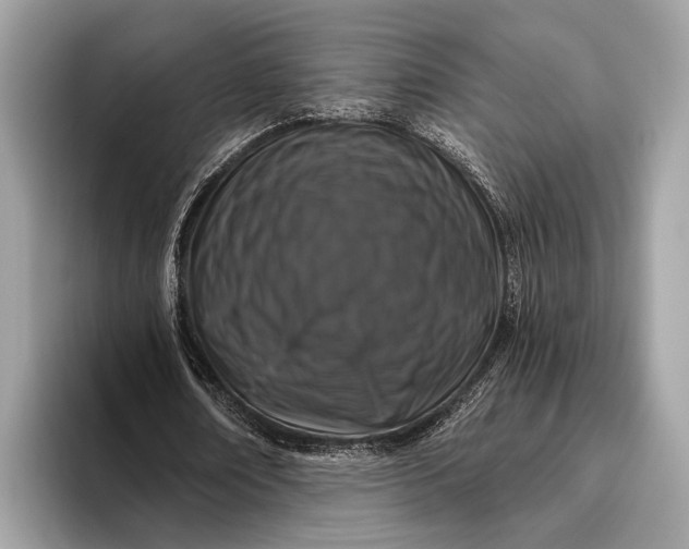 X0000095920674200801251030