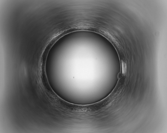 X0000095920675200801251030