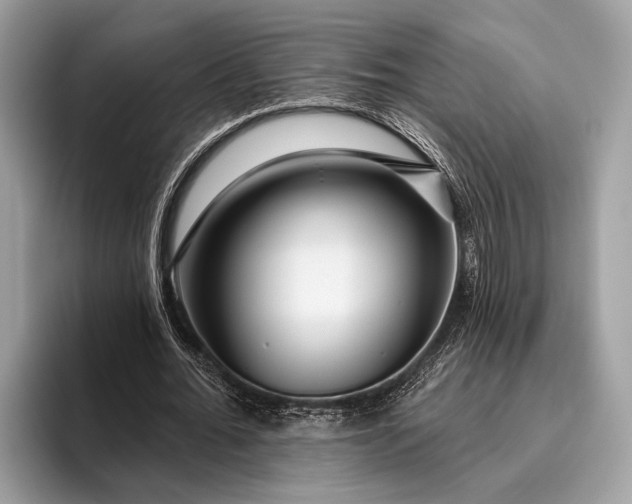 X0000095920676200801251030