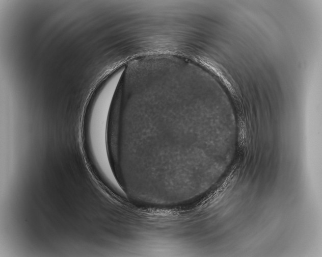 X0000095920677200801251030