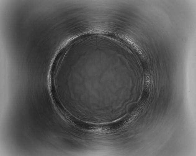 X0000095920678200801251030