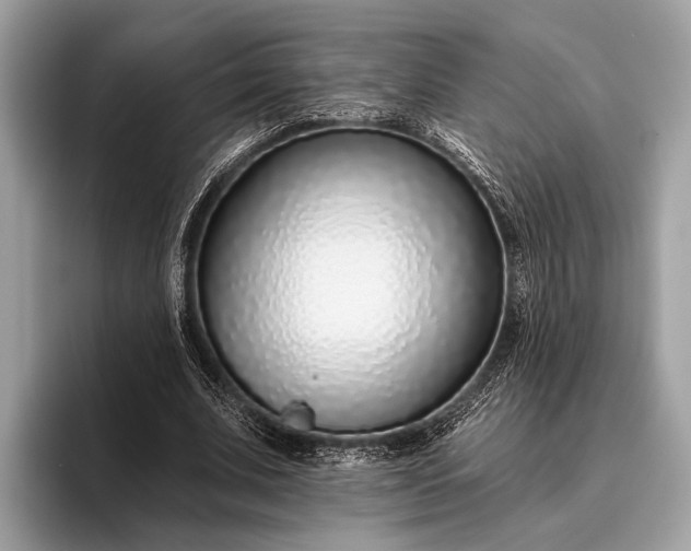 X0000095920679200801251030