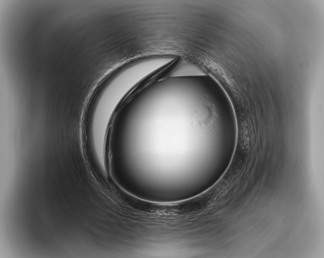 X0000095920680200801251030