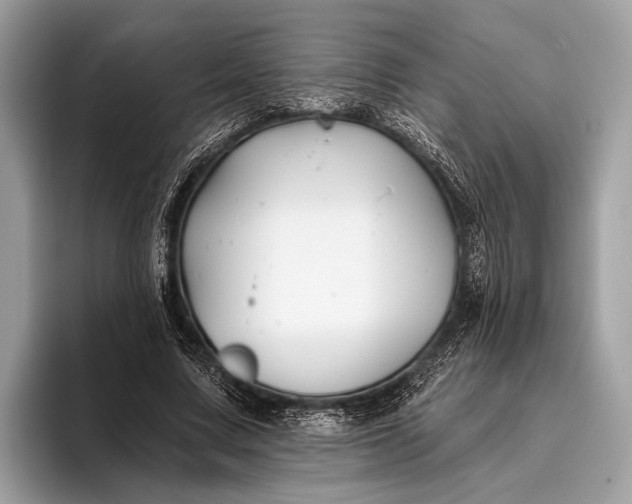 X0000095920683200801251030