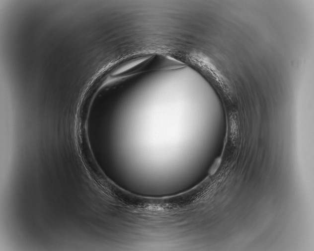 X0000095920684200801251030