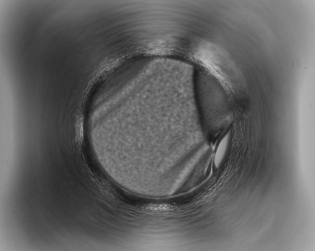 X0000095920685200801251030