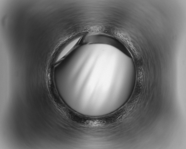 X0000095920688200801251030