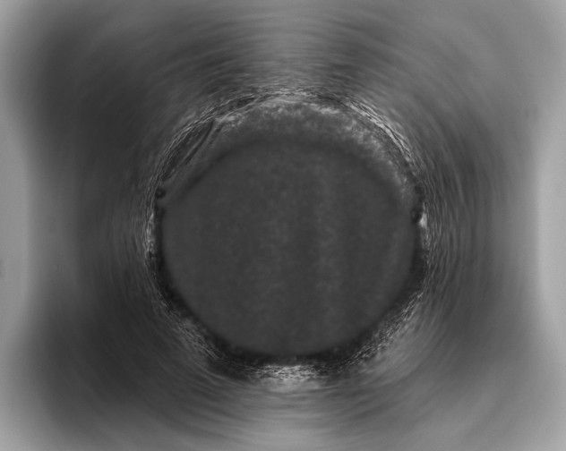 X0000095920689200801251030