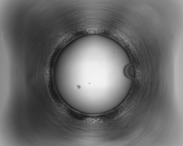 X0000095920690200801251030