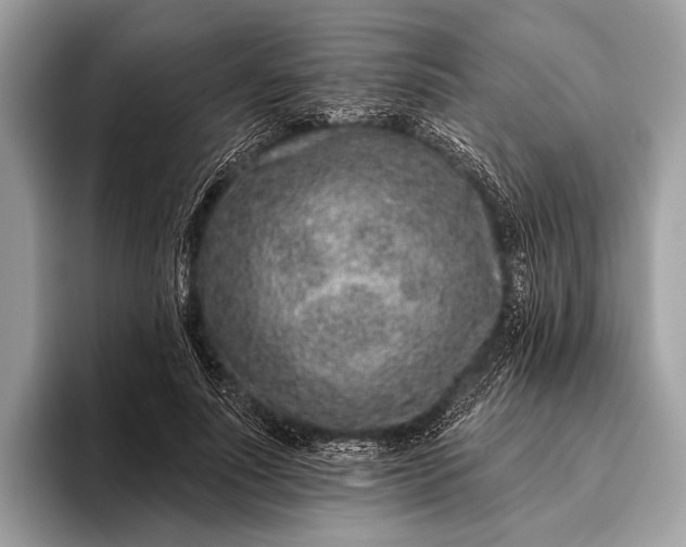 X0000095920691200801251030