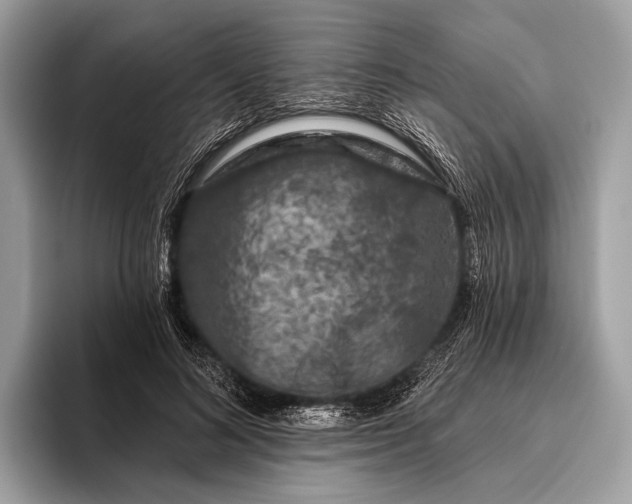 X0000095920692200801251030