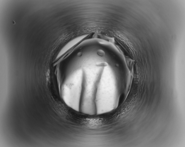 X0000095920693200801251030