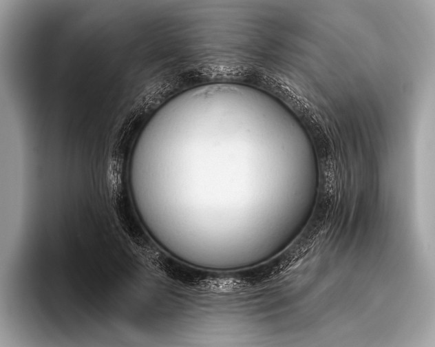 X0000095920695200801251030