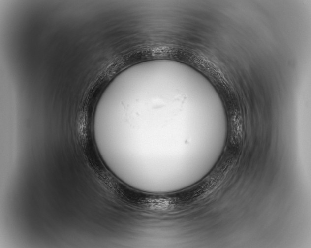 X0000095920698200801251030