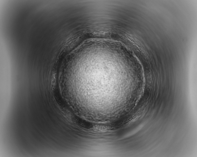 X0000095920699200801251030