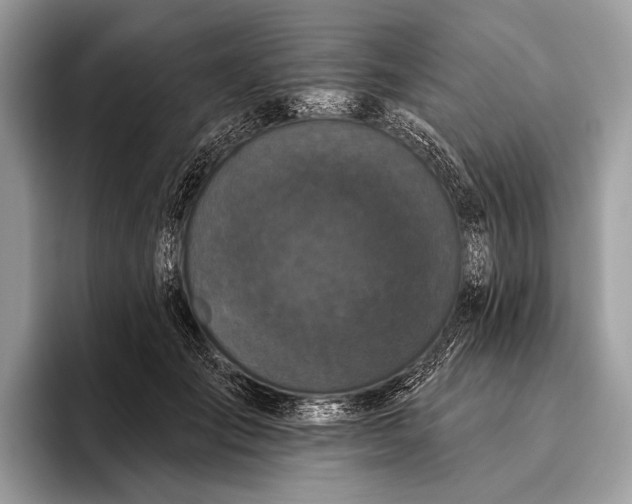 X0000095920701200801251030