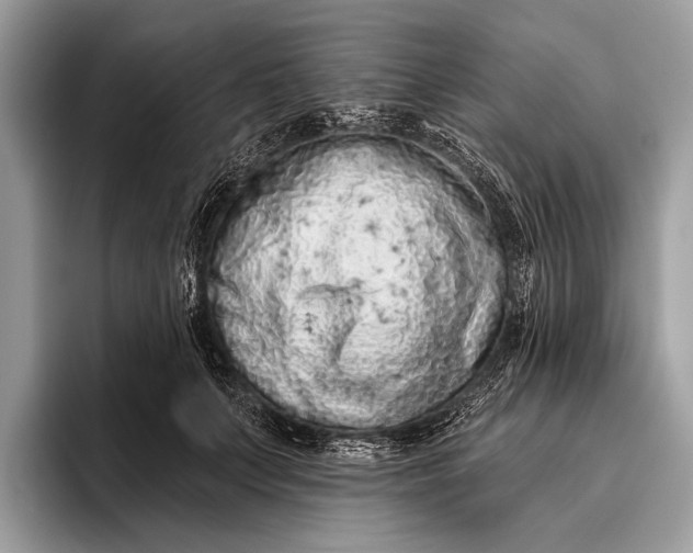 X0000095920703200801251030