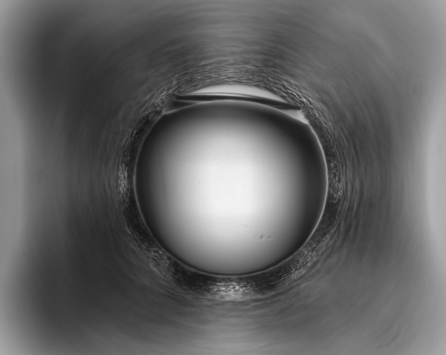 X0000095920704200801251030