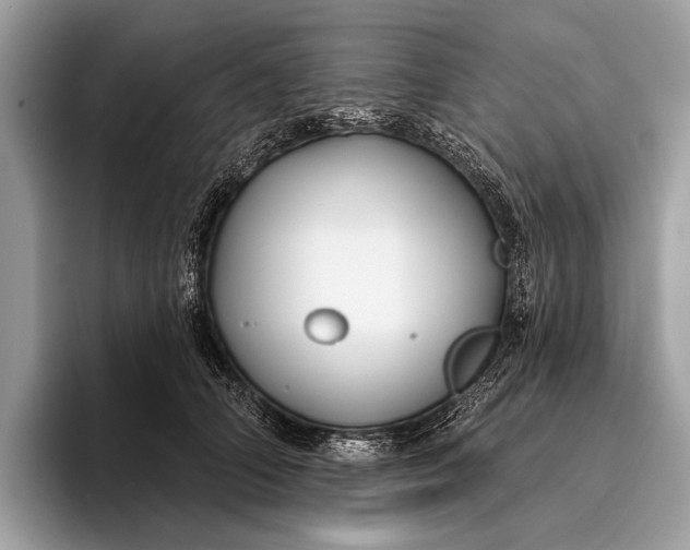 X0000095920706200801251030