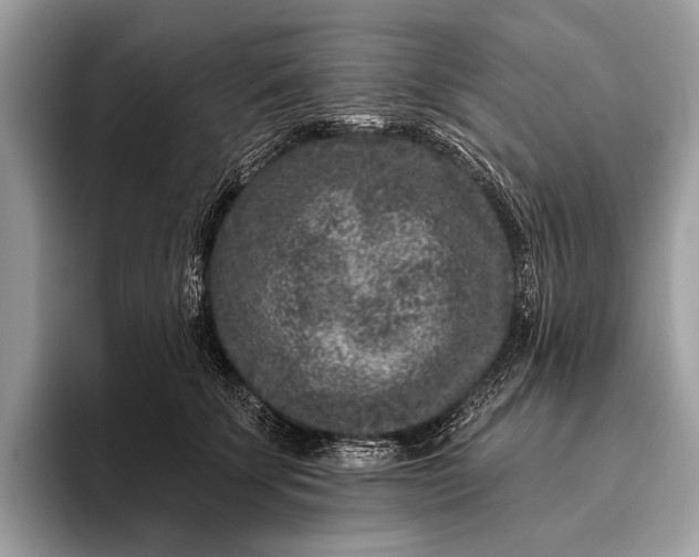 X0000095920707200801251030