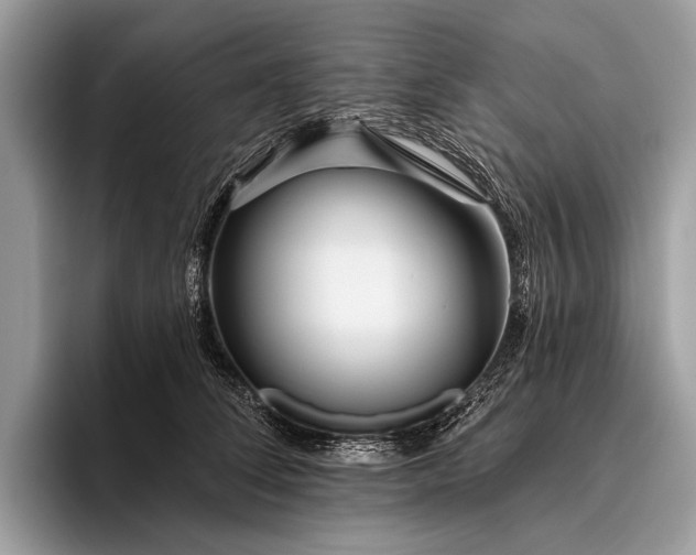 X0000095920708200801251030