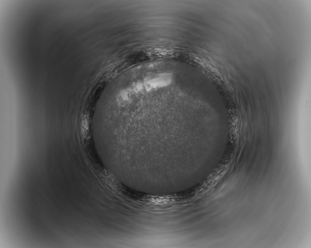 X0000095920709200801251030