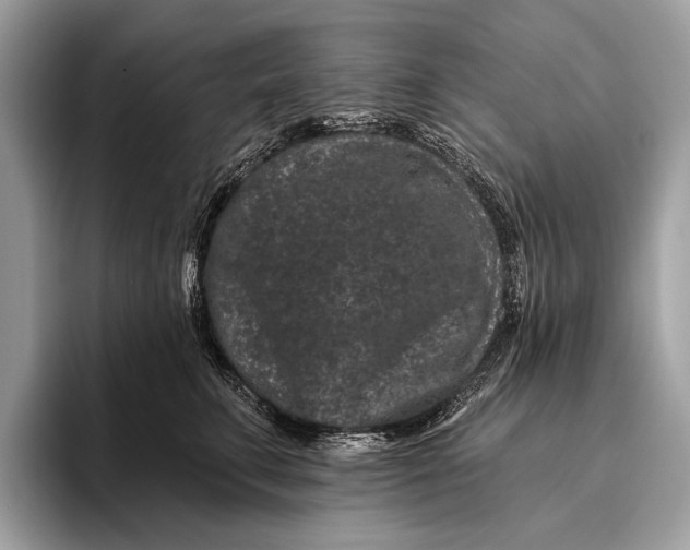 X0000095920711200801251030