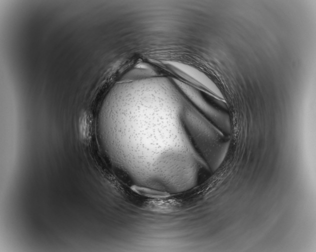 X0000095920712200801251030