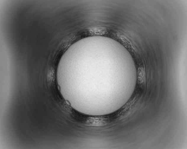 X0000095920713200801251030