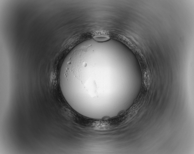 X0000095920714200801251030