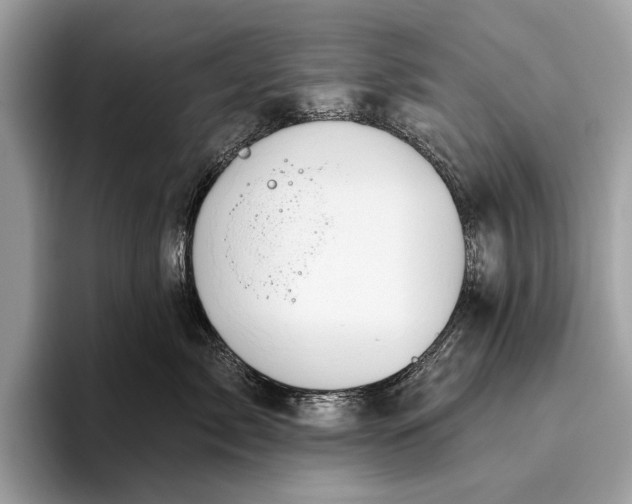 X0000095920717200801251030