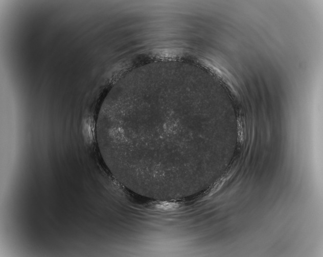 X0000095920718200801251030