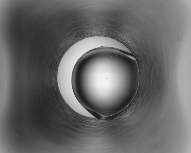 X0000095920720200801251030