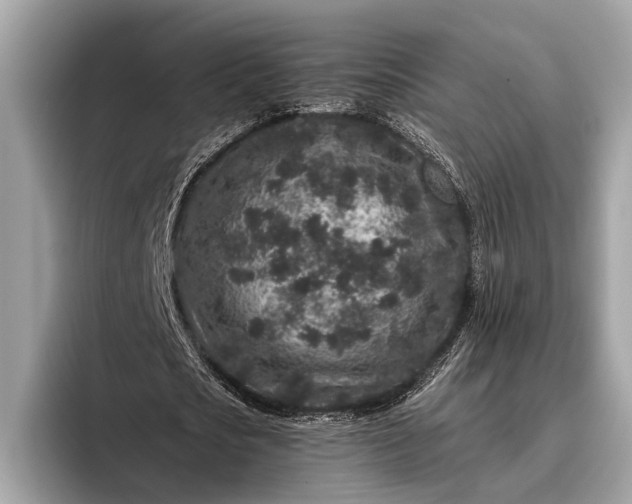 X0000095920721200801251029