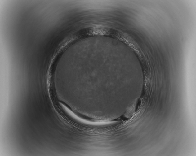 X0000095920722200801251029