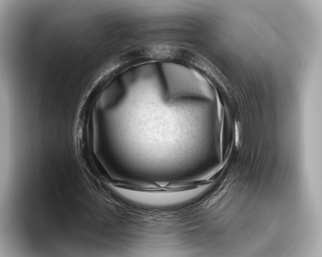 X0000095920723200801251029