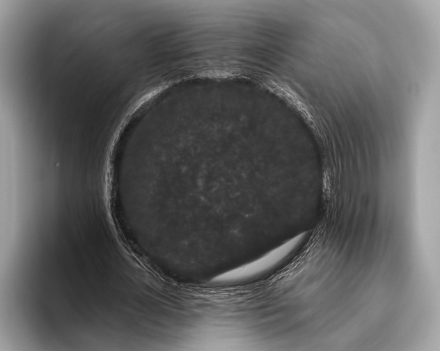 X0000095920724200801251029