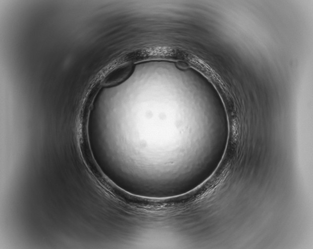 X0000095920725200801251029