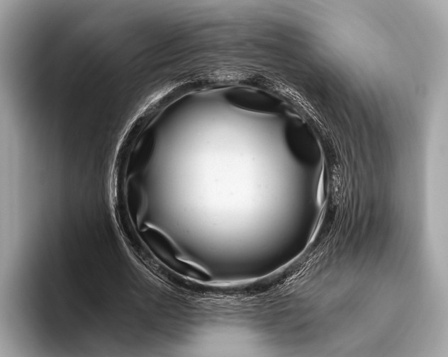 X0000095920726200801251029