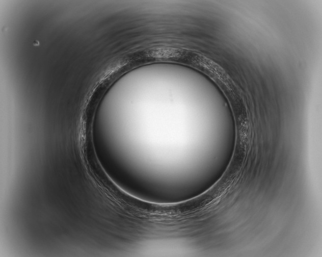 X0000095920727200801251029