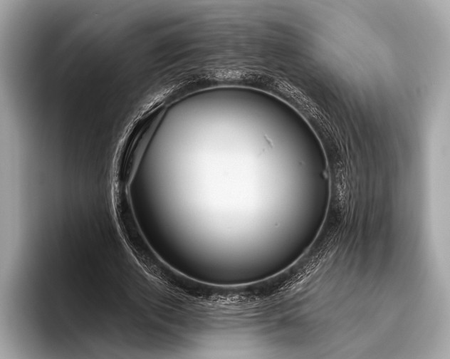 X0000095920728200801251029