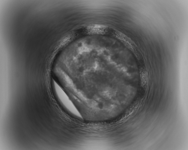 X0000095920729200801251029