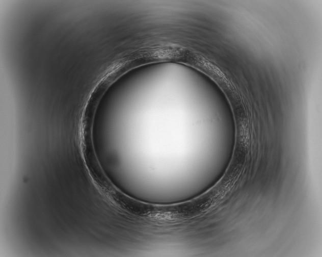 X0000095920730200801251029