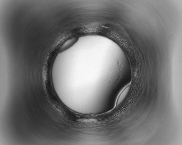 X0000095920732200801251029