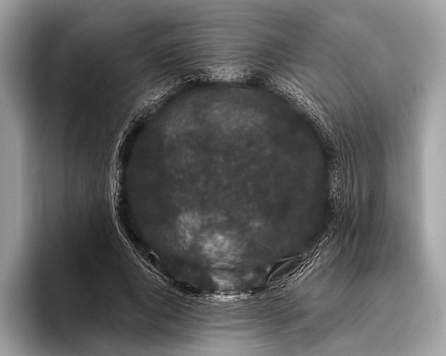 X0000095920736200801251029