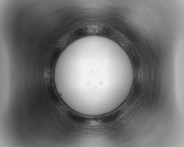 X0000095920737200801251029