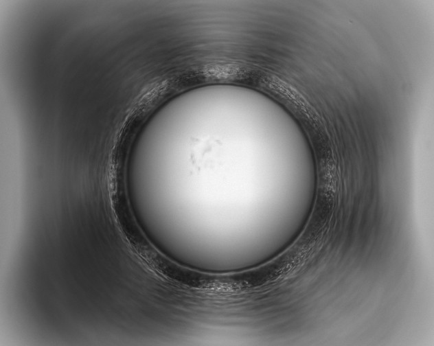 X0000095920738200801251029