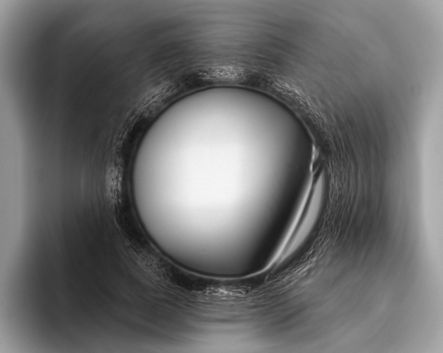 X0000095920739200801251029