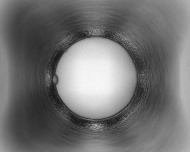 X0000095920741200801251029