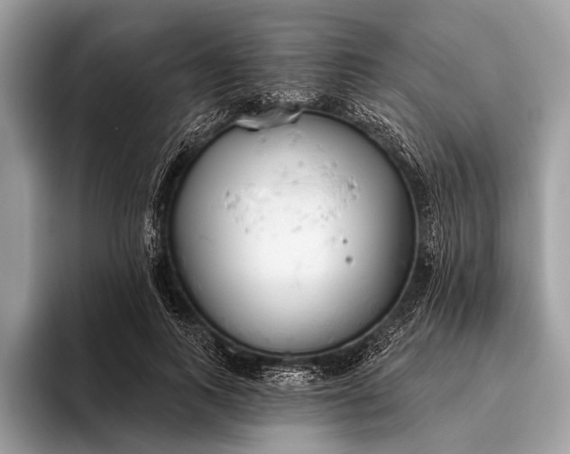 X0000095920743200801251029